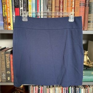 Banana Republic Dark Blue Mini Skirt